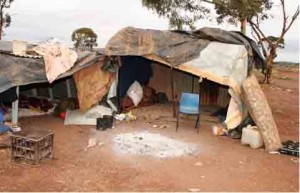 The failure of Australia’s political system to provide housing for Aboriginal people has left some with no alternative but to build shelters such as this one.