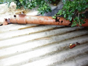 One of the damaged pipes that the NSW Department of Housing and wealthy maintenance contractor Spotless had left in a terrible state of disrepair at a public housing residence in Waterloo in inner city Sydney.